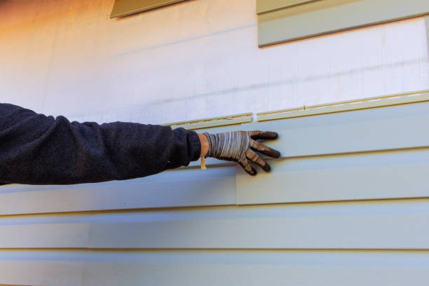 Best Custom Siding Design  in Fulton, IL